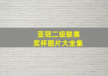 亚冠二级联赛奖杯图片大全集