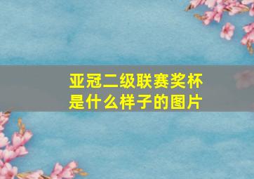 亚冠二级联赛奖杯是什么样子的图片