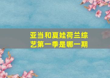 亚当和夏娃荷兰综艺第一季是哪一期