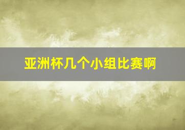 亚洲杯几个小组比赛啊