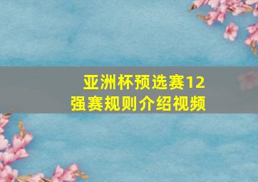 亚洲杯预选赛12强赛规则介绍视频