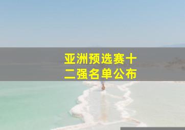 亚洲预选赛十二强名单公布