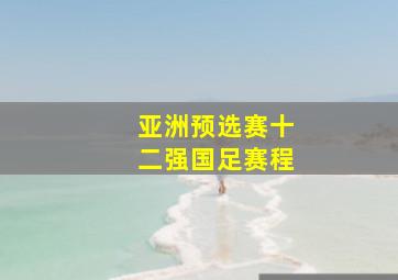 亚洲预选赛十二强国足赛程