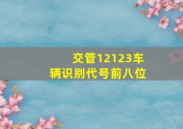 交管12123车辆识别代号前八位