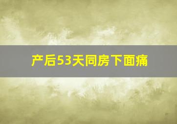 产后53天同房下面痛