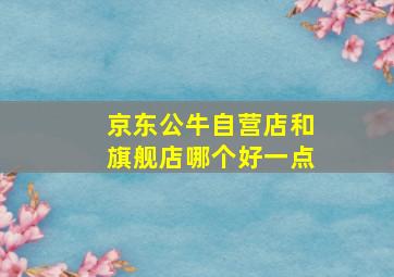 京东公牛自营店和旗舰店哪个好一点