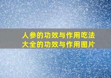 人参的功效与作用吃法大全的功效与作用图片