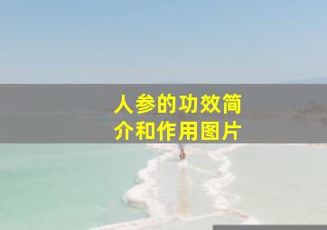 人参的功效简介和作用图片