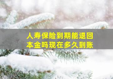 人寿保险到期能退回本金吗现在多久到账