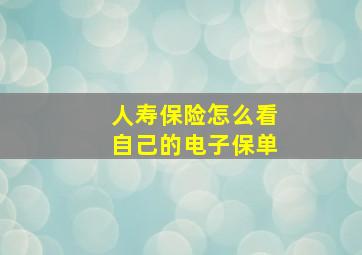 人寿保险怎么看自己的电子保单