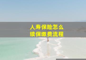 人寿保险怎么续保缴费流程