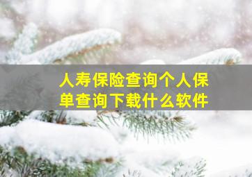 人寿保险查询个人保单查询下载什么软件