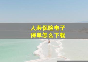 人寿保险电子保单怎么下载