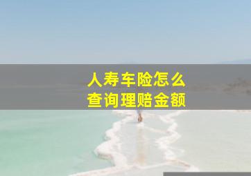 人寿车险怎么查询理赔金额