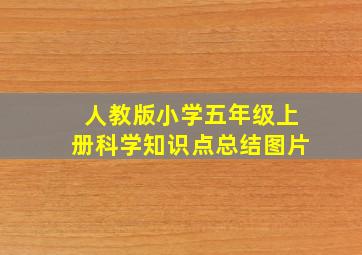 人教版小学五年级上册科学知识点总结图片