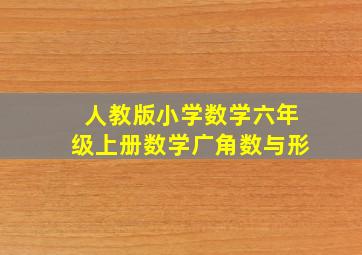 人教版小学数学六年级上册数学广角数与形