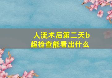 人流术后第二天b超检查能看出什么