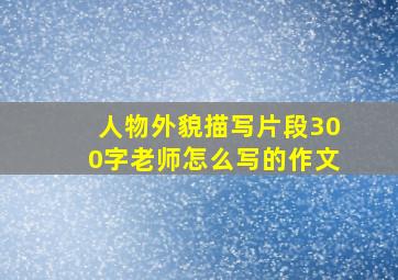 人物外貌描写片段300字老师怎么写的作文