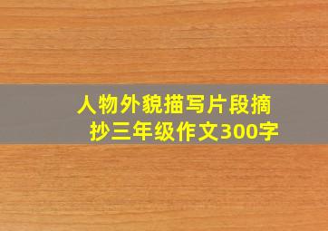 人物外貌描写片段摘抄三年级作文300字