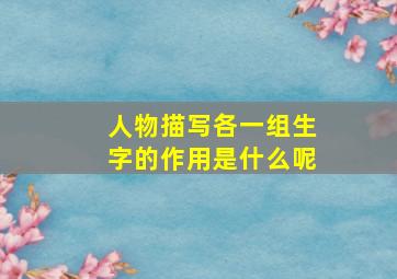 人物描写各一组生字的作用是什么呢