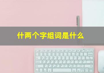 什两个字组词是什么