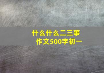 什么什么二三事作文500字初一