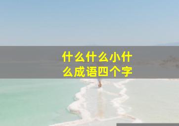 什么什么小什么成语四个字