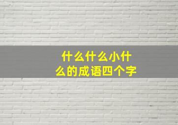 什么什么小什么的成语四个字