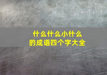 什么什么小什么的成语四个字大全