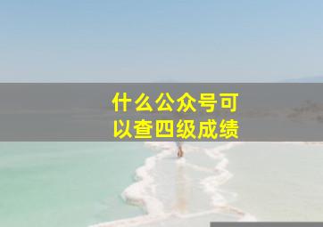 什么公众号可以查四级成绩