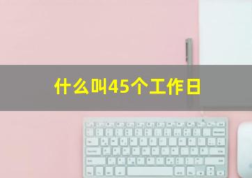 什么叫45个工作日