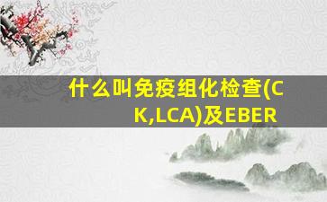 什么叫免疫组化检查(CK,LCA)及EBER