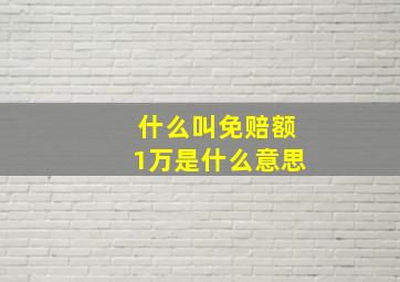 什么叫免赔额1万是什么意思