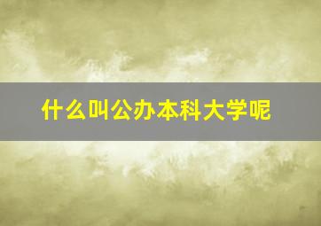 什么叫公办本科大学呢