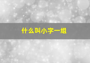 什么叫小字一组