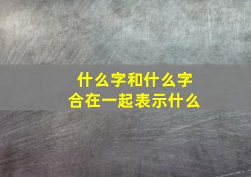 什么字和什么字合在一起表示什么