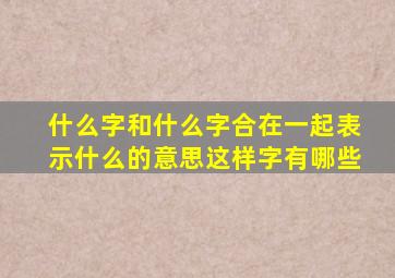 什么字和什么字合在一起表示什么的意思这样字有哪些