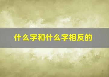 什么字和什么字相反的