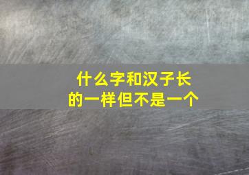 什么字和汉子长的一样但不是一个