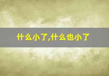 什么小了,什么也小了