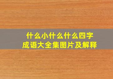 什么小什么什么四字成语大全集图片及解释