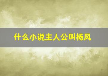 什么小说主人公叫杨风