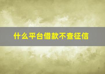 什么平台借款不查征信