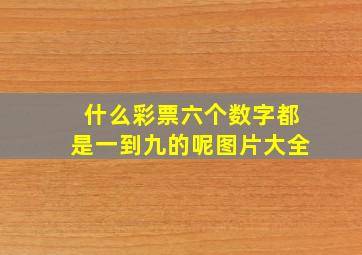 什么彩票六个数字都是一到九的呢图片大全