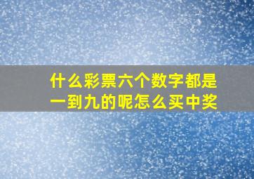 什么彩票六个数字都是一到九的呢怎么买中奖