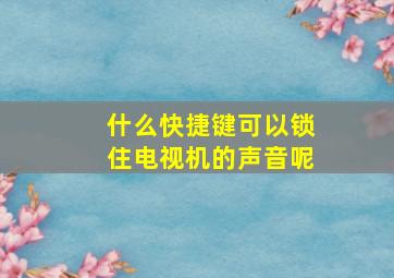 什么快捷键可以锁住电视机的声音呢