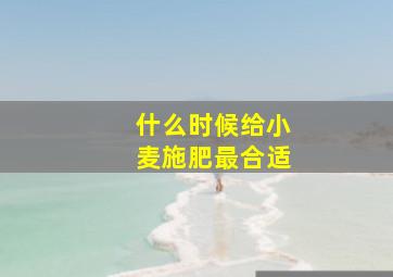 什么时候给小麦施肥最合适