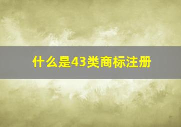 什么是43类商标注册