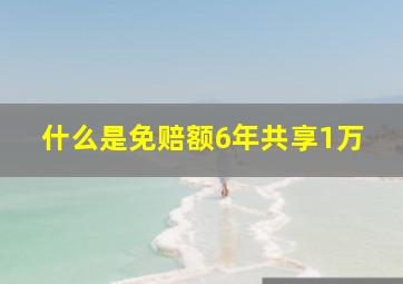 什么是免赔额6年共享1万