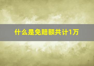 什么是免赔额共计1万